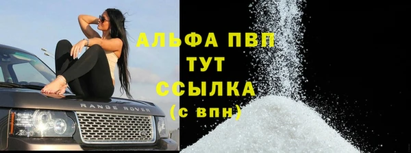 ГАЛЛЮЦИНОГЕННЫЕ ГРИБЫ Ельня