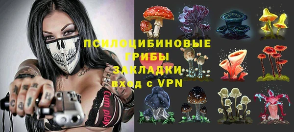 дурь Заводоуковск