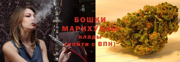 дурь Заводоуковск