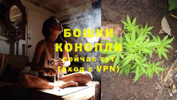 дурь Заводоуковск