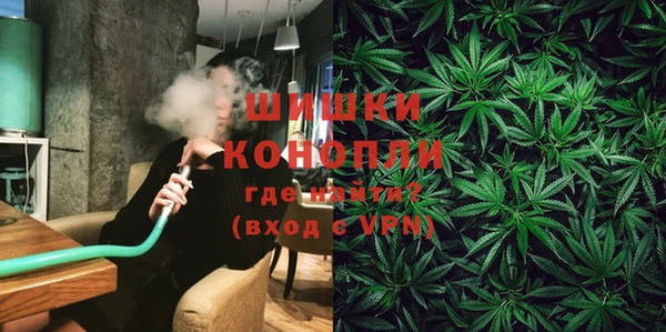 дурь Заводоуковск