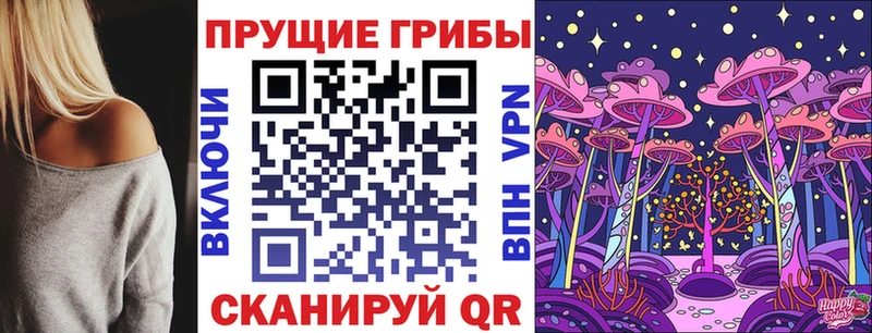 это телеграм  цены   Кропоткин  Галлюциногенные грибы Psilocybe 