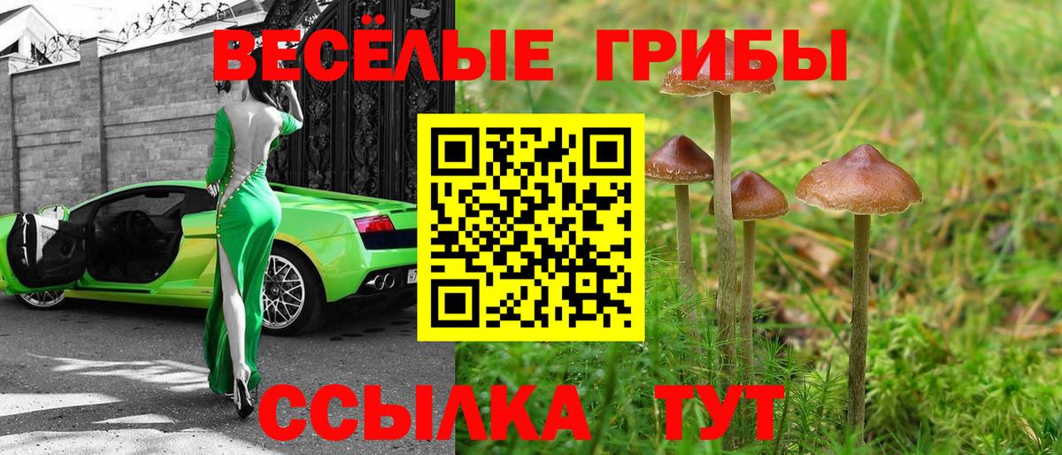 Галлюциногенные грибы MAGIC MUSHROOMS  Псилоцибиновые грибы Psilocybe  Вход с VPN  Кропоткин 
