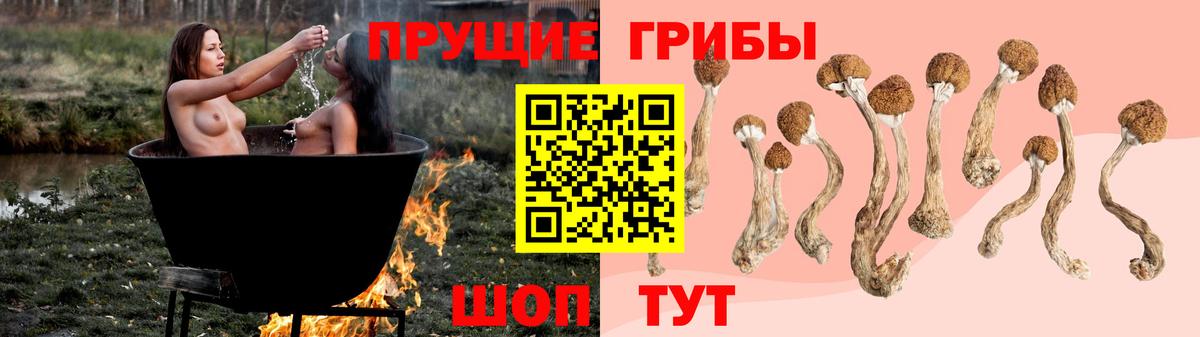 Псилоцибиновые грибы Magic Shrooms Кропоткин