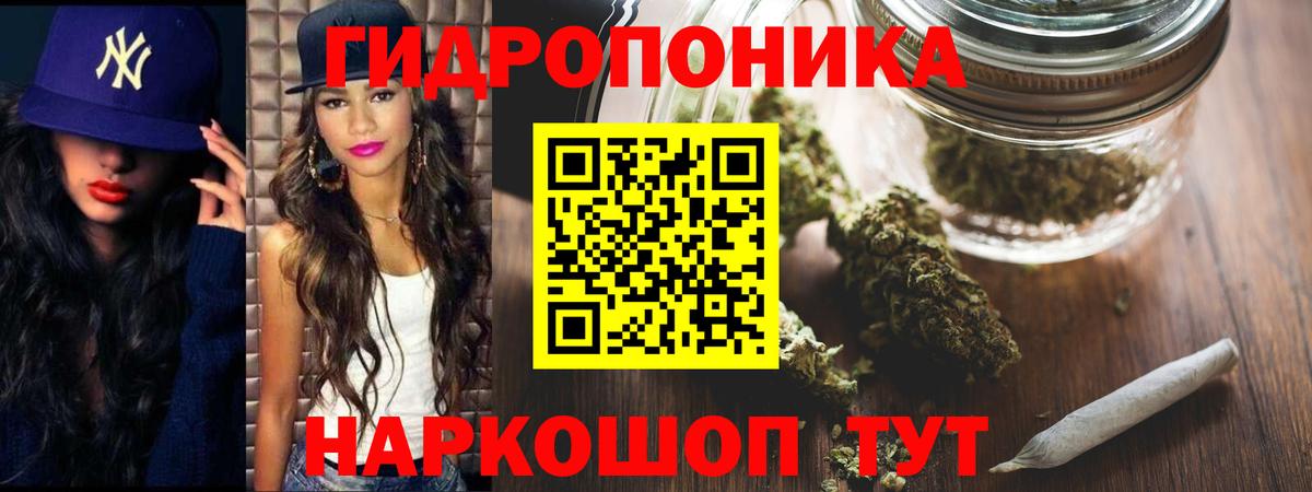 Кропоткин  Конопля гибрид  Вход с VPN  МАРИХУАНА семена 